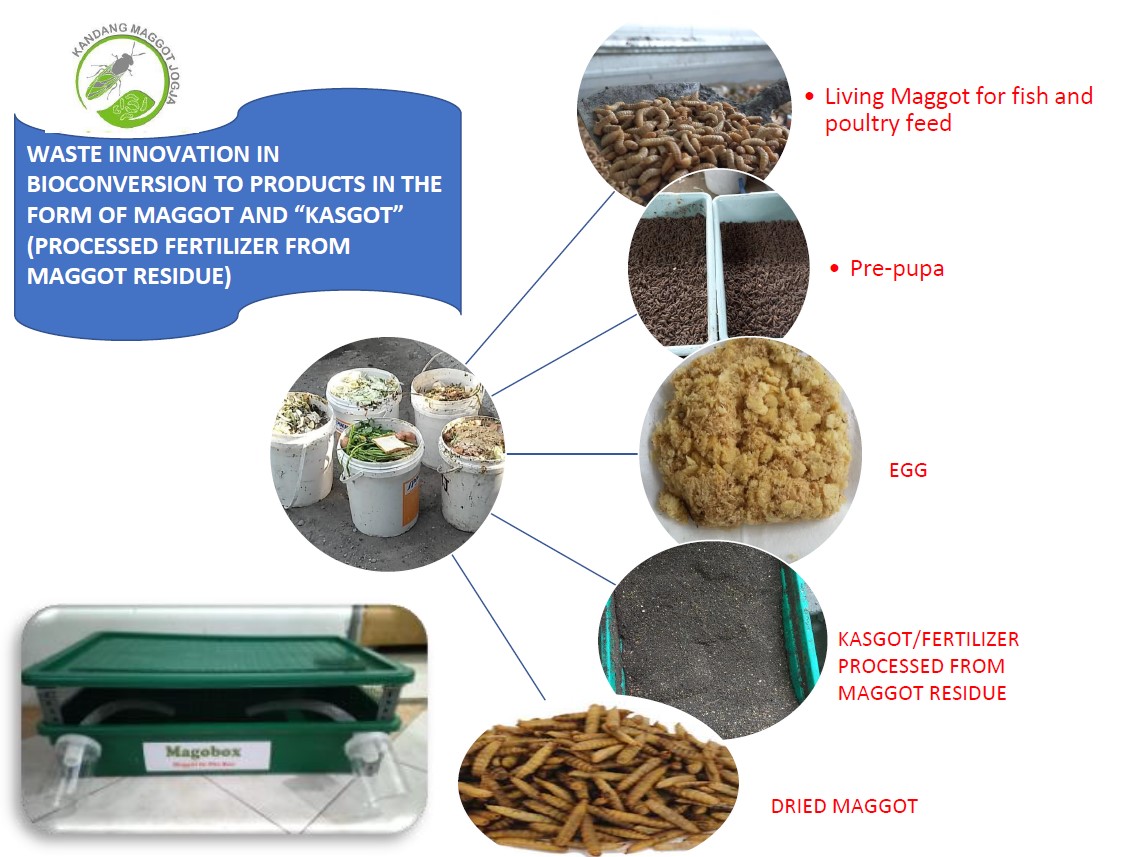 fkwa presentation showing maggot production process